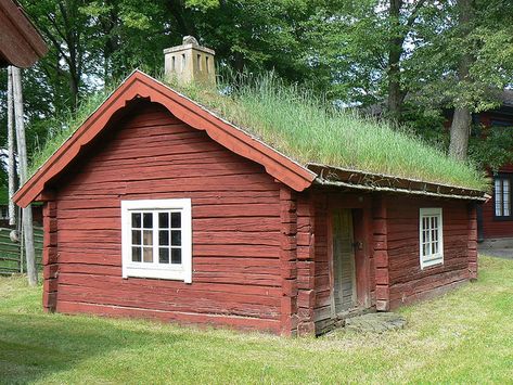 Green Cabin, Grass Roof, Living Roofs, Patio Roof, Eco Living, Building A Shed, House Roof, Eco House, Eco Friendly House