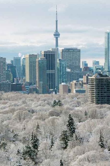 Canada Astethic, Canada In Winter, Toronto Winter Aesthetic, Toronto Aesthetic Winter, Winter Canada, Winter Toronto, Toronto In Winter, Toronto Canada Aesthetic Winter, Winter In Toronto