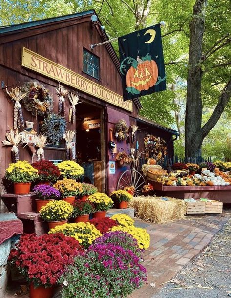 New England Halloween, Guilford Connecticut, Puzzle Ideas, Autumn Gifts, Mud Room, Fall Decorating, Urban Jungle, Plant Life, Labor Day