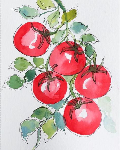 Vine Watercolor, Watercolor Tomatoes, Vegetable Painting, Tomato Vine, Vegetable Illustration, Fruits Drawing, Watercolor Food, Watercolor Fruit, Watercolor Journal