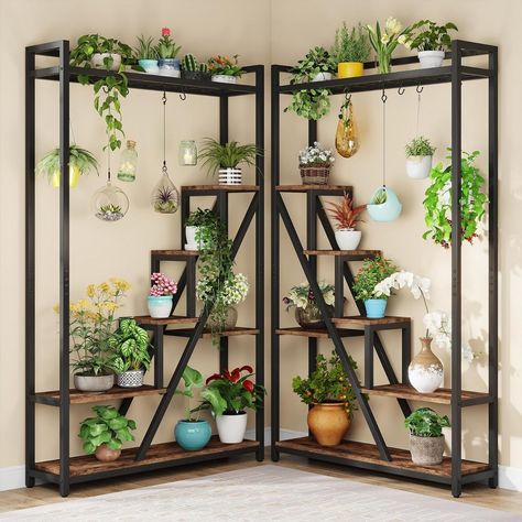 Plant wall shelf ideas