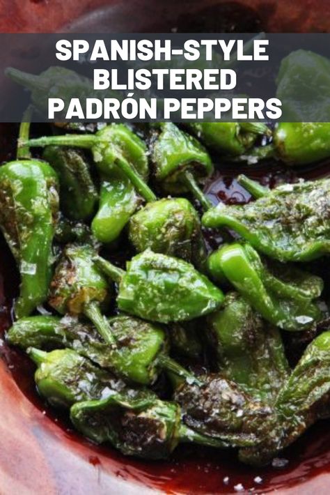 Pardon Peppers Recipe, Pardon Peppers, Padron Peppers Recipe, Vegan Tapas, Spain Recipes, Vegan Hacks, Padron Peppers, Tapas Dinner, Spanish Tapas Recipes