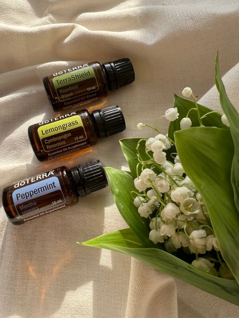 Essential Oil Hair Growth, Essential Oils For Colds, Doterra Essential Oils Recipes, What Are Essential Oils, Essential Oils Guide, Essential Oils Cleaning, Essential Oil Storage, Essential Oils For Skin, Essential Oils For Hair