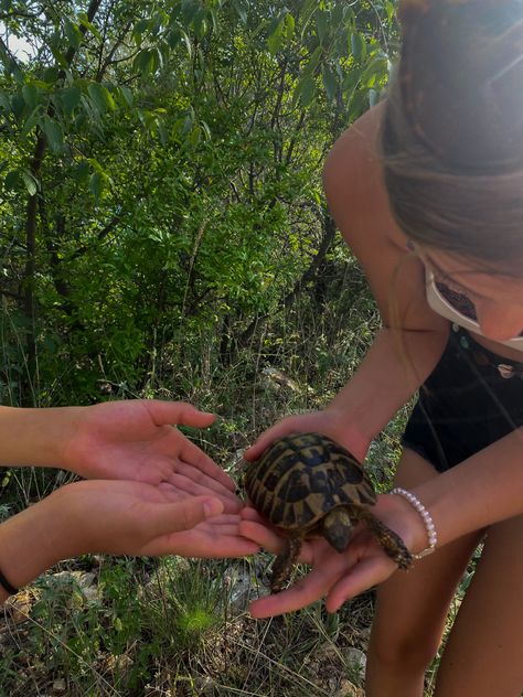 Turtle rescue summer summer in kroatia aesthetics summer Costa Rica Volunteer, Turtle Volunteering, Turtle Volunteer, Turtle Rescue, Turtle Sanctuary, Travel Aesthetics, Turtle Conservation, Volunteer Work, Motivation Board