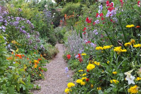 Chaos Gardening Is About Embracing a Wild, Untamed Look—Here's How to Do It — Martha Stewart Perennials Low Maintenance, Full Sun Flowers, Long Blooming Perennials, Sunny Garden, Full Sun Perennials, Best Perennials, Perennial Border, Best Flowers, Sun Perennials