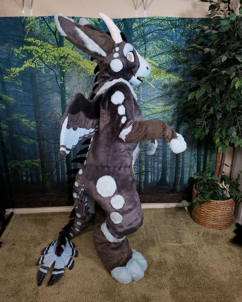 Dutch Angel Dragon Art, Fursuit Dragon, Dutch Angel Dragon Fursuit, Unique Fursuits, Dutch Angel Dragon, Dragon Fursuit, Angel Dragon, Fursona Ideas, Cute Suits