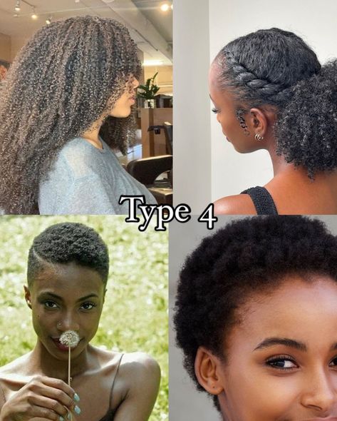 Comment your hair type below! ⬇️💬 - #curlyhair #hairtype #hairporosity #type3haircare #type4hair #naturalhair 4 Hair Type, 4 Type Hair, Hair Health Tips, Natural Haircare Products, Hair Journey Tips, Natural Hair Care Regimen, Different Curls, Quick Natural Hair Styles, Bible Humor