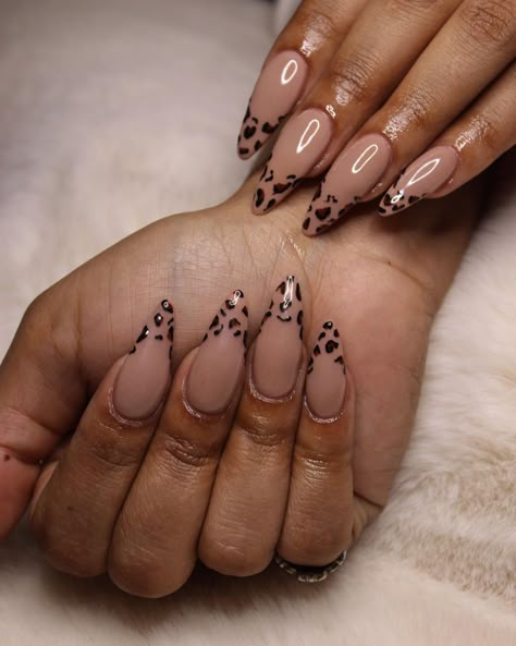 Short Almond Cheetah Nails, Leopard Print Almond Nails, Leapord Print Nail, Cheetah Tip Nails, Almond Cheetah Nails, Cheetah Print Nails Coffin, Cheetah Print Almond Nails, Leopard Almond Nails, Lepord Nails Designs