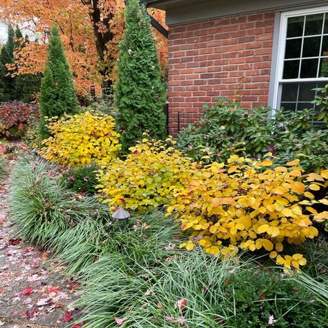 Hosta June, Michigan Landscaping, Michigan Garden, Gardening Photos, Michigan Gardening, Fine Gardening Magazine, Acer Palmatum, Fine Gardening, Garden Photos