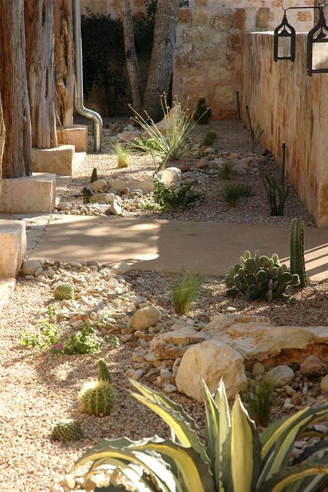 In a hot climate, you can still have your #outdoor desert oasis! Cacti Landscape, Rock Patio, Desert Ranch, Cabin Landscape, Desert Scenes, Desert Gardens, California Backyard, Arizona Gardening, Succulent Landscape Design