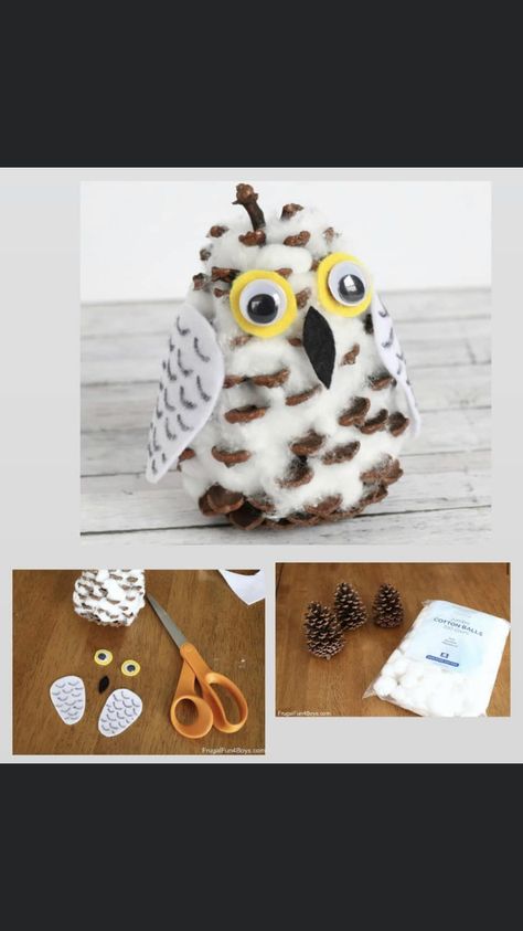 Snowy Owl Craft, Snowy Owl Art, Owl Activities, First Grade Crafts, Pinecone Owls, Pinecone Crafts Kids, Snowy Owls, Pinecone Crafts Christmas, Winter Owl