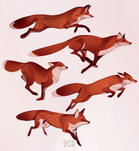 Fox Sketch, Animal Poses, Fox Drawing, Canine Art, 카드 디자인, Animal Designs, Art Things, Fox Art, Animal Sketches