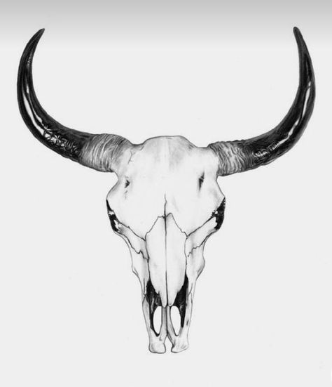 Land Tattoos, Bull Skull Tattoo, Bull Drawing, Tattoo Crane, Cow Skull Tattoos, Bull Skull Tattoos, Skull Drawings, Skull With Horns, Country Tattoos