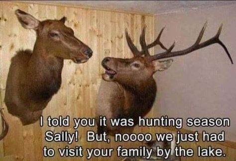 Deer Hunting Memes, Hunting Humor, Memes Humor, Twisted Humor, Deer Hunting, Funny Animal Pictures, Really Funny Memes, Look At You, Animal Memes