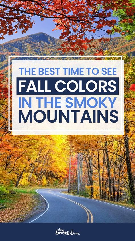 Smoky Mountains In November, Great Smoky Mountains Fall, Fall In Tennessee, Fall Tennessee, Tennessee Fall, Fall Foliage Map, Tennessee Waterfalls, Southern Road Trips, Mountains Tennessee