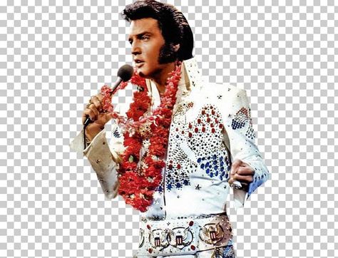 Elvis Presley Png, Elvis Aloha From Hawaii, Elvis Films, Hawaii Art, Elvis Presley Pictures, Graceland, Elvis Presley, Color Trends, Hawaii