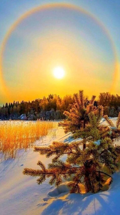 Winter Sunrise, I Love Winter, Winter Photo, Good Morning Gif, Winter Scenery, Winter Beauty, Winter Scenes, Winter Time, Photo Illustration