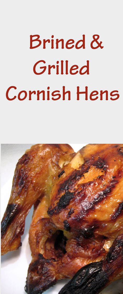 Brine For Cornish Game Hens, Cornish Hen Grill Recipe, Brined Cornish Hens, Brining Cornish Hens, Bbq Cornish Game Hen Recipes, How To Brine Cornish Hens, Bbq Cornish Hens, Brine Cornish Hens, Grilled Cornish Hen Recipe