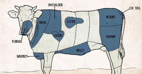 Thrillist Butcher Diagram, Cow Meat, Meat Cuts, Grilled Meat, How To Cook, Farm Life, Travel Usa, Art Works, Travel Inspiration