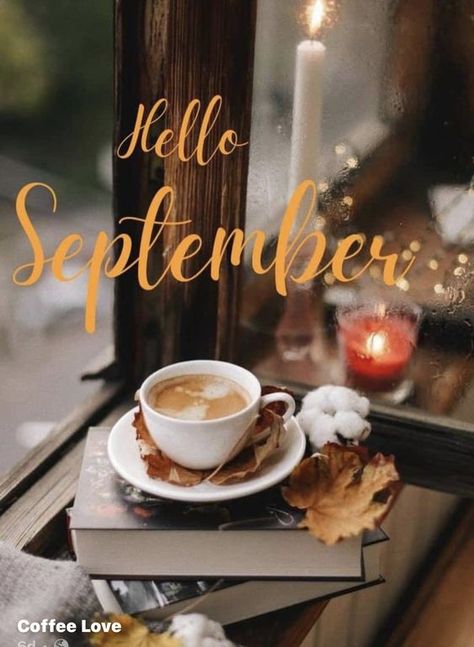 🍂🤎🍁🍂🤎🍁🍂🤎🍁🍂🤎🍁🍂🤎🍁 September Food, New Month Wishes, Seasons Months, Hello September, Welcome Fall, Fb Covers, Food Images, New Month, Come And Go