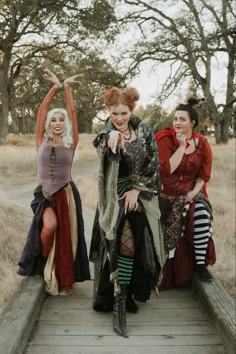 Hocus Pocus Sisters, Sanderson Sisters Costumes, Boo Halloween Costume, Hocus Pocus Costume, Hocus Pocus Sanderson Sisters, Sister Costumes, Baby Cosplay, Halloween Movie Night, Trio Halloween Costumes