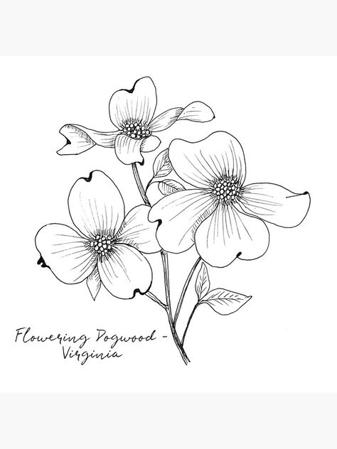 North Carolina Tattoo, Flower Illustration Art, Dogwood Tattoo, Dogwood Flower Tattoos, Flowering Dogwood, Wood Burn Designs, Dogwood Flower, Dogwood Flowers, Gourd Art