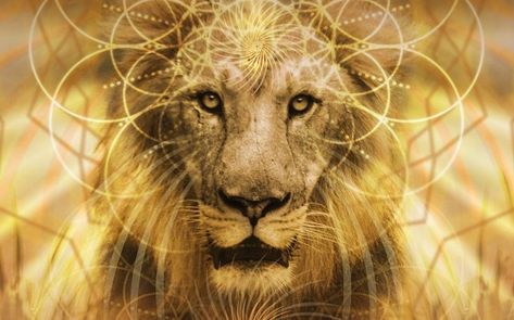 The 8~8 Lionsgate Portal ~ Galactic Harmony ~ July 30, 2018 Goddess Of Creation, Sirius Star, Solstice And Equinox, Daily Message, Lions Gate, Indigo Children, Power Stone, Celtic Symbols, New Earth