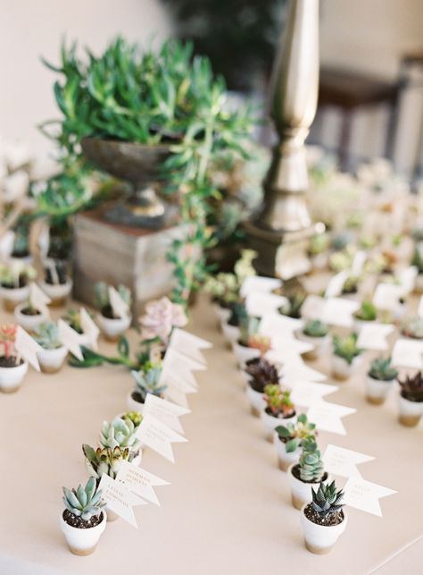 Mini succulent favors: http://www.stylemepretty.com/2016/07/26/luxury-at-home-florida-wedding/ | Photography: Justin DeMutiis Photography - http://justindemutiisphotography.com/ Plant Wedding Favors, Succulent Wedding Decor, Succulent Wedding Favors, Succulent Favors, Handmade Wedding Favours, Quirky Wedding, Wedding Favors Cheap, Succulent Wedding, Mini Succulents