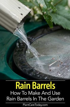 Barrels Diy, Water Collection System, Water From Air, Rain Harvesting, Rain Barrels, Water Barrel, Rain Collection, Water Collection, Rainwater Harvesting