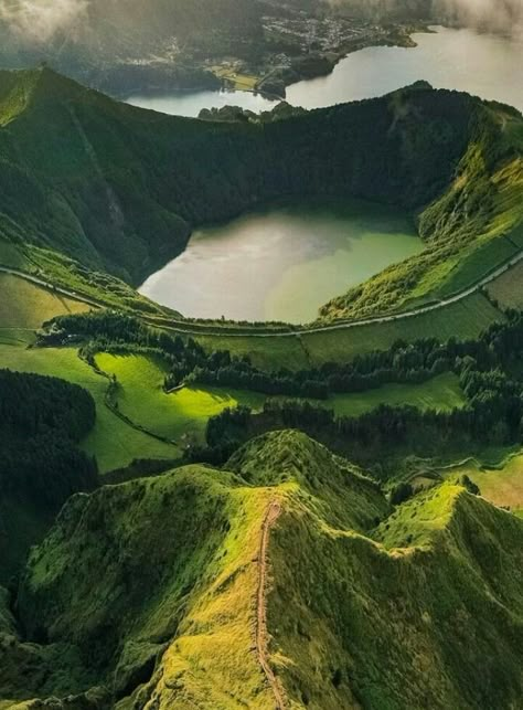 Vintage Road Trip, São Miguel Island, Forest Cottage, Southern Europe, Future Travel, Animals Of The World, Nature Landscape, Oh The Places Youll Go, Adventure Awaits