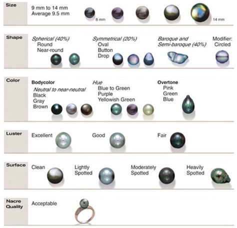 5 Elements of Pearl Quality Types Of Pearls, Jewelry Facts, Jewelry Pearls, Jewelry Education, Cultured Pearl Necklace, Pearl Design, Minerals And Gemstones, South Sea Pearls, Tahitian Pearls