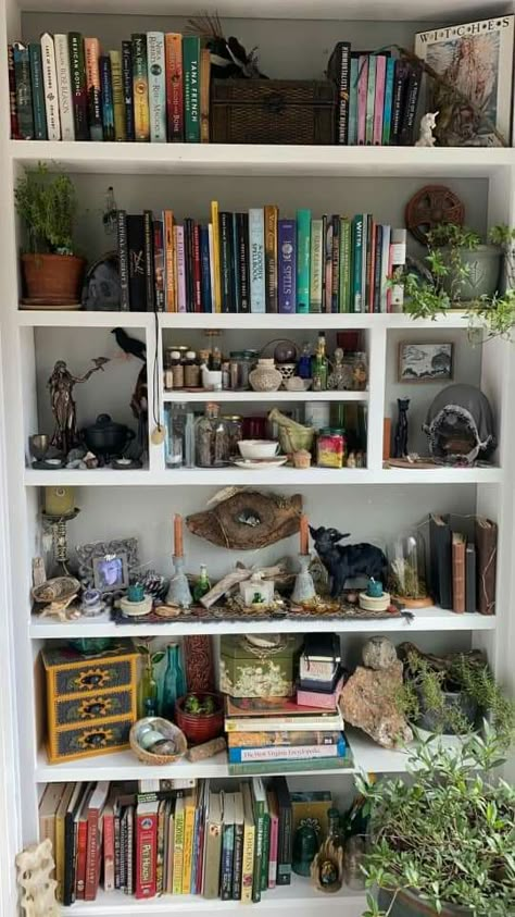 Readers Room Bedrooms, Cluttercore Room Aesthetic, Grunge Bookshelf, Shelf Inspo Aesthetic, Cluttered Bookshelf, Aesthetic Bookshelf Ideas, Book Aesthetic Room, Witchy Bookshelf, Academia Room Decor