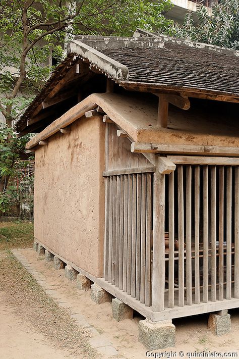 Houses On Stilts, Cut Down Trees, House On Stilt, Trees In The Forest, Cob Building, Eco Buildings, Mud House, Married Women, House On Stilts