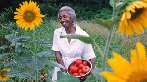 Edna Lewis, John Hill, Southern Culture, Small Town Romance, Black Authors, James Beard, Country Cooking, Pureed Food Recipes, Culinary School