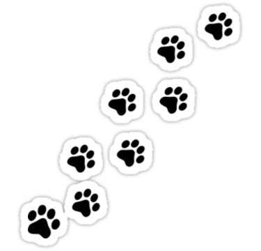 "Paw Prints" Stickers by kaitihershey | Redbubble Goldendoodle Mom, Miss My Dog, Paw Print Stickers, Vet School, Hydroflask Stickers, Pet Paws, Dog Stickers, Dog Paw, School Motivation