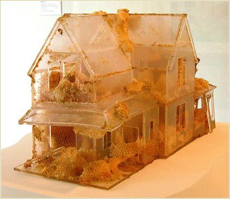 Portfolio • Aganetha Dyck ~ The Working Life Of Bees: The Sixth Sense • Beeswax, Honeycomb, Plexiglas Model Farmhouse Built By Greg Vettel, 13 X 14 X 24 Inches, 2008. Collection Of The North Dakota Museum Of Art. Photos courtesy of the North Dakota Museum of Art. Honeycomb Art, Aesthetic Horror, Beeswax Art, The Sixth Sense, Candy Eyes, Fiber Sculpture, Art 2024, Bee Creative, Nature Museum