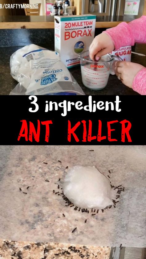 Make this 3 ingredient ant killer recipe to kill all your ants within 24 hours!! It works! Borax recipe for summer time great in kitchens bug killer. Ant Killer Recipe, Ant Spray, Rid Of Ants, Kill Ants, Get Rid Of Ants, Ant Killer, Cleaning Painted Walls, Deep Cleaning Tips, Bug Repellent