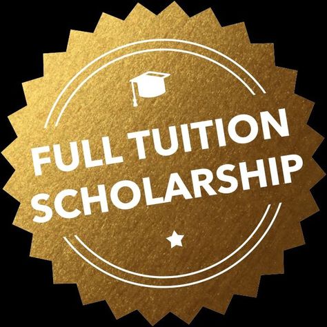 Canada scholarships for international students Accepted Scholarship Aesthetic, Full Ride Scholarships Aesthetic, Full Ride Scholarships, Canada Scholarships, 2025 Prayer, Full Scholarship, Prayer Vision Board, Scholarships For International Students, Country Day School