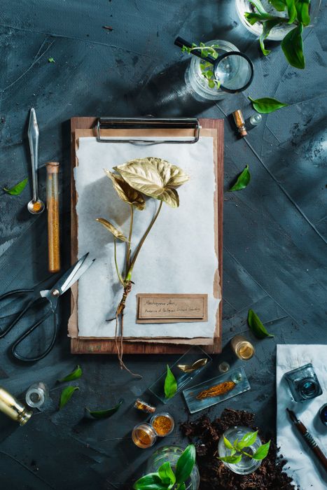 A creative still life photography flat lay on a hand painted background - DIY photo backgrounds Creative Still Life Photography, Photography Background Diy, Photography Flat Lay, Creative Still Life, Art Stall, Artist Photoshoot, Florist Brand, Flat Lay Inspiration, Flatlay Photography