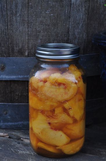 peaches preserved in honey (fermented), no canning! Megatarian Fermented Pineapple, Fermented Vegetables Recipes, Cheese Curd, Pineapple Recipe, Fermented Honey, Canning Peaches, Fermented Veggies, Fermented Pickles, Peach Preserves