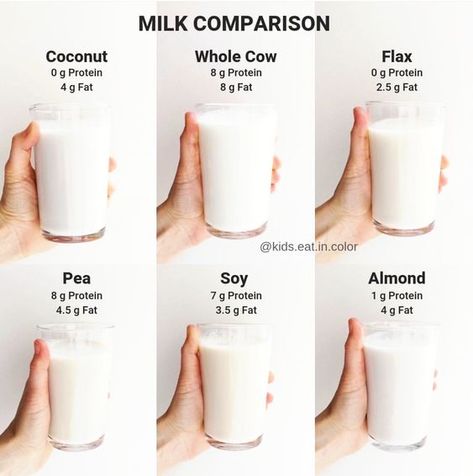 Food Calorie Chart, Plant Benefits, Picky Eating, High Fat Foods, Calorie Counter, Milk Alternatives, Chocolate Caliente, Plant Based Milk, Nutrition Guide