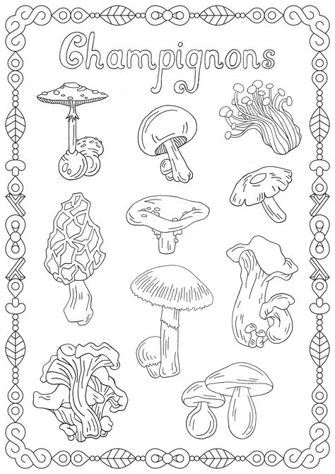 Mushrooms to download - Mushrooms coloring page with few details for kids. From the gallery : Mushrooms. Just Color Kids : Coloring Pages for Children : Discover all our printable Coloring Pages for Adults, to print or download for free ! Coloring Pages Mushrooms, Spring Coloring Pages Free Printable, Mushroom Coloring Pages, Mushroom Coloring, Hello Kitty Colouring Pages, Frog Coloring Pages, Mushroom Pictures, Mushroom Drawing, Kitty Coloring