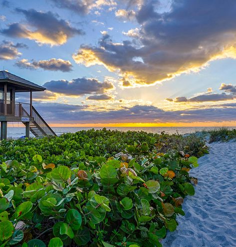 New Symerna Beach Florida Aesthetic, Del Ray Beach Florida, Vero Beach Florida Things To Do In, Best Beach Towns In Florida, Clearwater Beach Florida Aesthetic, Bluegreen Vacations, Florida Vibes, Playalinda Beach Florida, Dream Holidays