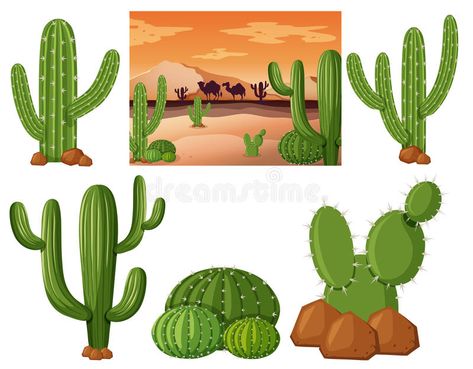 Campo del desierto con las plantas del cactus ilustración del vector Plants Illustration, Diy Succulent Terrarium, Cactus Vector, Tiles Game, Cactus Illustration, Cactus Planta, Plant Vector, Desert Cactus, Succulent Terrarium