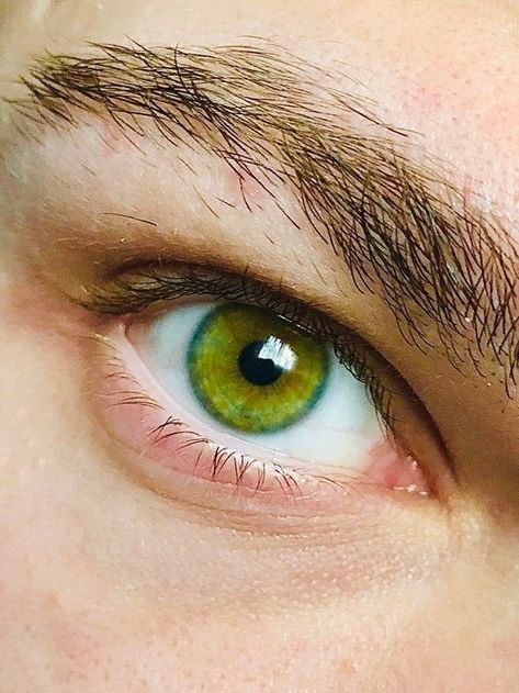 Yellow Eyes Aesthetic, Fae Chronicles, Serenity Aesthetic, Green Eyes Aesthetic, Aesthetics Collage, Yellow Green Eyes, Blue Eyes Aesthetic, Aesthetic Face, Eye Color Chart