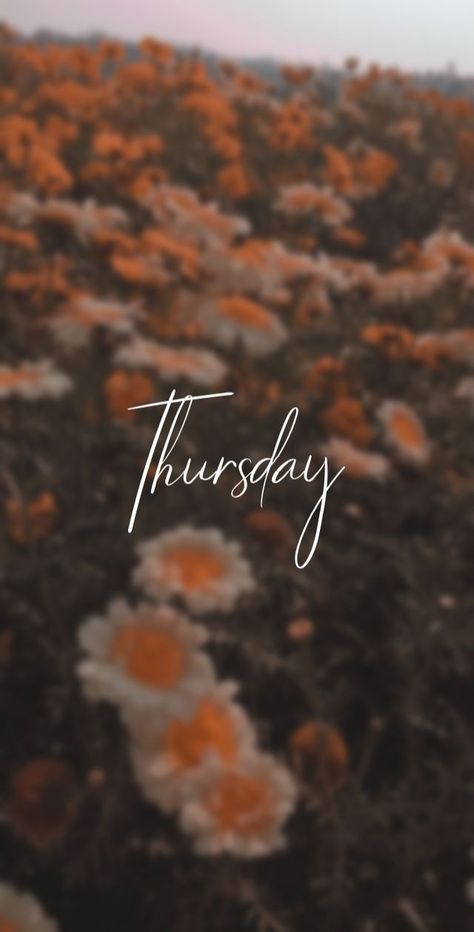 Thursday Wallpaper Aesthetic, Cartoon Pic, Decor Color Palette, Thursday Quotes, Instagram Feed Ideas Posts, Instagram Ideas Post, Cute Couple Wallpaper, Good Morning Picture, Art Wallpaper Iphone