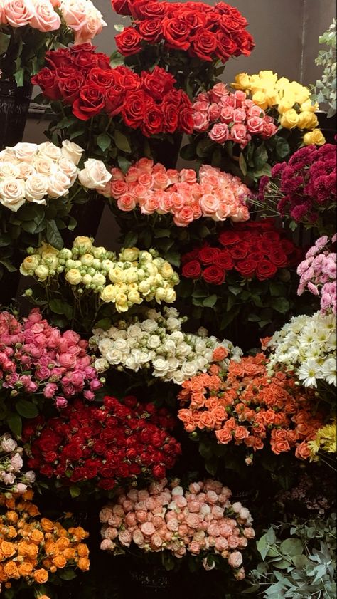 Flowers Shop Aesthetic, Roses Aesthetic Bouquet, Flowers Bouquet Wallpaper, Rose Flowers Aesthetic, Rose Bouquet Aesthetic, Rose Flower Aesthetic, Flowers Aesthetic Roses, Roses Flowers Aesthetic, Flowershop Aesthetic