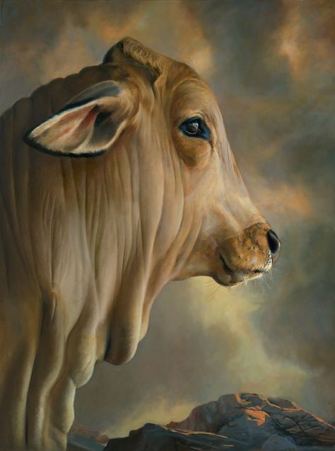 Teresa Elliott - Brahman Cow Cute Cow Photos, Cute Cow Pictures Cartoon, Brahman Cow Painting, Kamadenu Cow Images, Indian Cow Photo, Bull Painting, Cow Face, Cow Pictures, Cow Calf