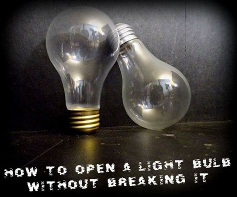 These handy (and safe) instructions show you how to remove the filament of an incandescent bulb. #upcycle Diy Light Bulb Crafts, Recycled Light Bulbs, Diy Light Bulb, Light Bulb Art, Light Bulb Crafts, Light Bulb Ornaments, Bulb Vase, Incandescent Light Bulb, Incandescent Light