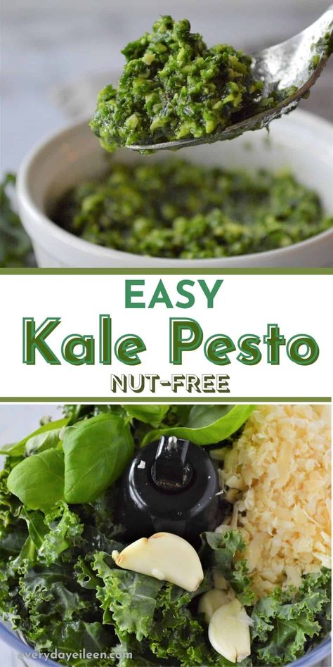 Pesto Recipe No Nuts, Kale Pasta Recipe, Fish Veggies, Freezing Recipes, Kale Pesto Recipe, Nut Free Pesto, Chicken Zoodle Soup, Food Processor Uses, Pesto Recipes